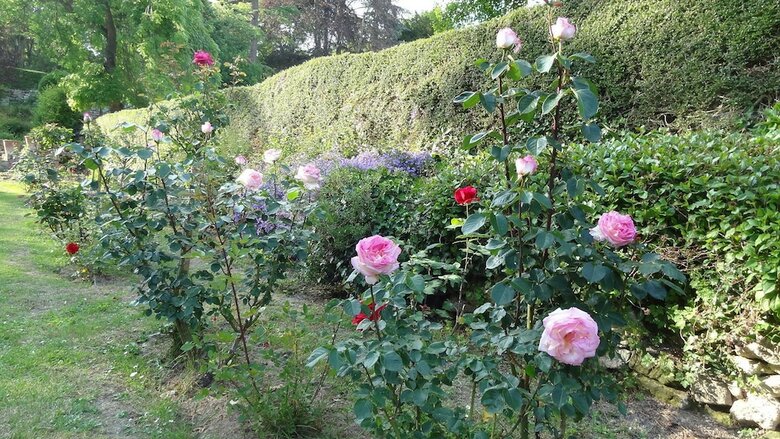 Bed & Breakfast Le Manoir De La Baldette