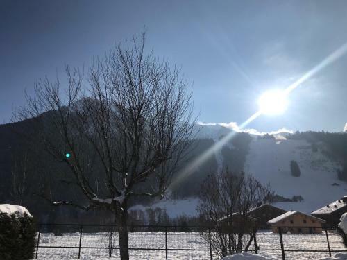 Apartamento Chalet Les 4 Saisons