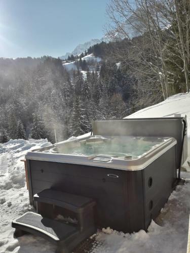 Chalet Ange