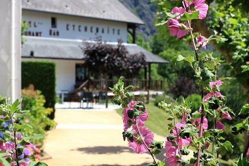 Hotel Logis H�tel Etchema�t�