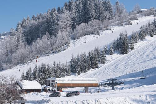 Apartamento Mont Chery Lodge And Spa - Chalets1066