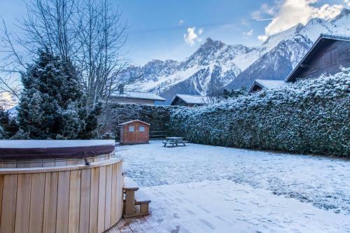 Chalet Les Drus