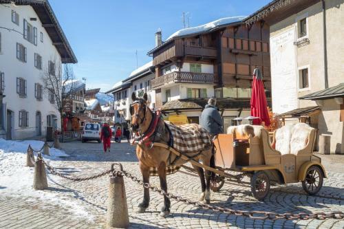 Apartamento Chalet Les Briards