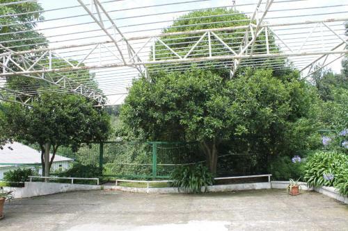 Hostal Guest House Niako