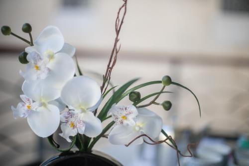Apartamento Palais Liberte