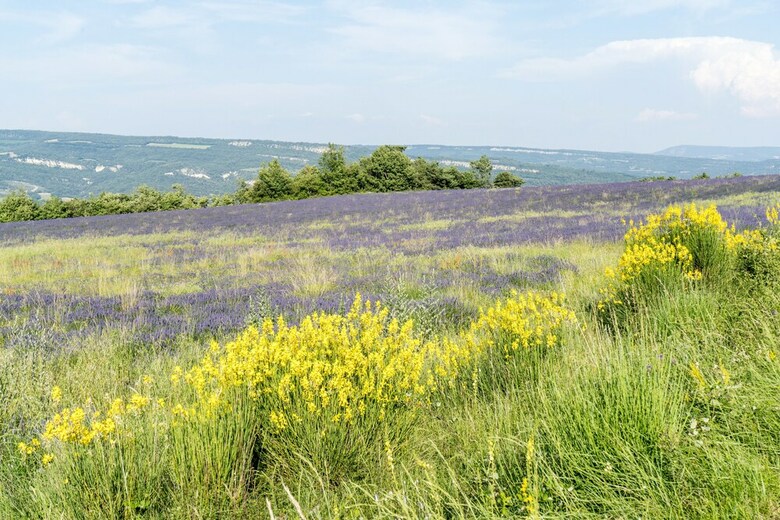 Bed & Breakfast Domaine De Saint Quentin