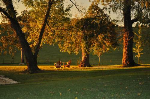 Bed & Breakfast Chateau Carbonneau