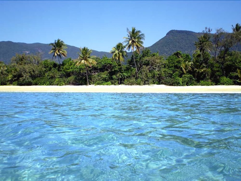 Bed & Breakfast Rainforest Hideaway