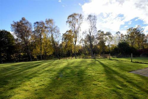 Woodlands