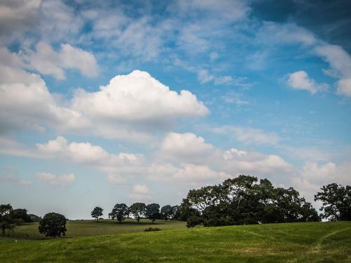 Betley Court Farm 1