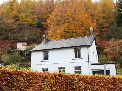 The Larches