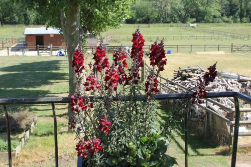 Bed & Breakfast Homelea B & B & Self Catering