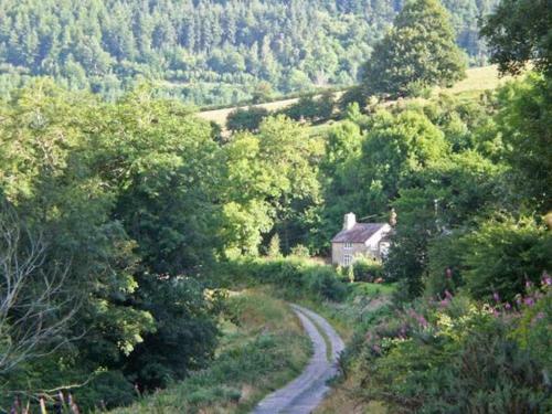 King Grove Cottage