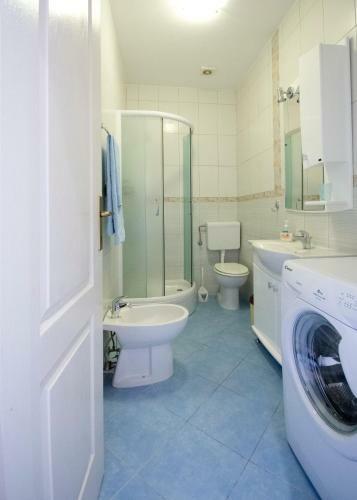 Apartments Radonicic
