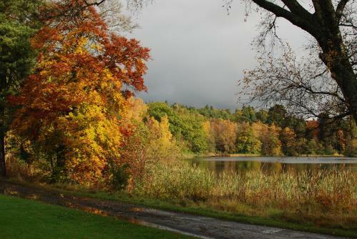 Loch Monzievaird Chalets