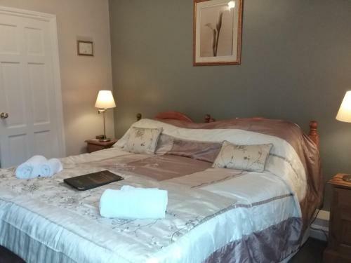 Hostal Dragon House Guest Accommodation