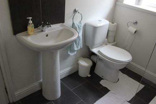 Hostal Dragon House Guest Accommodation