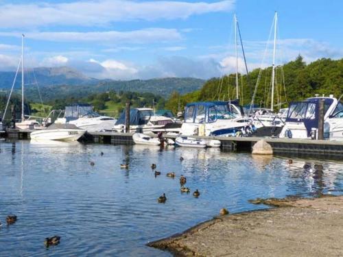 Coniston Number 9