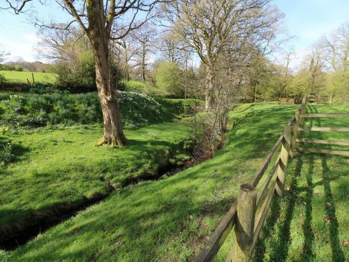 Fold Bank