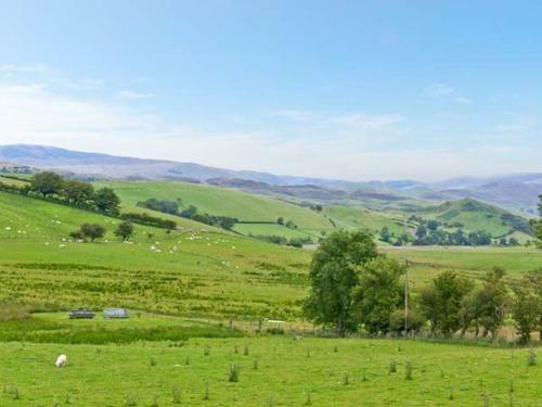 Plynlimon View