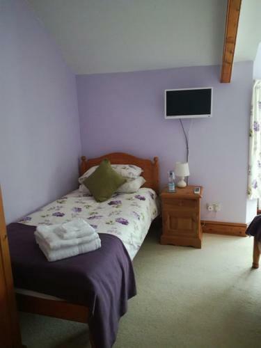Bed & Breakfast Ty Newydd