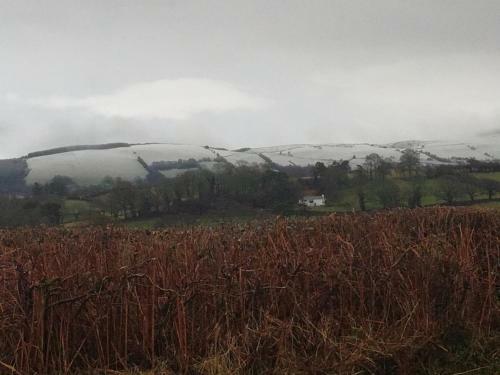 Bed & Breakfast Ty Newydd