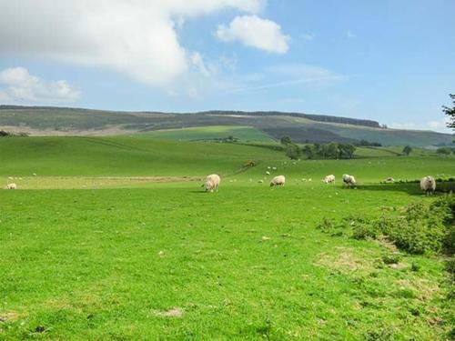 Glan Gors