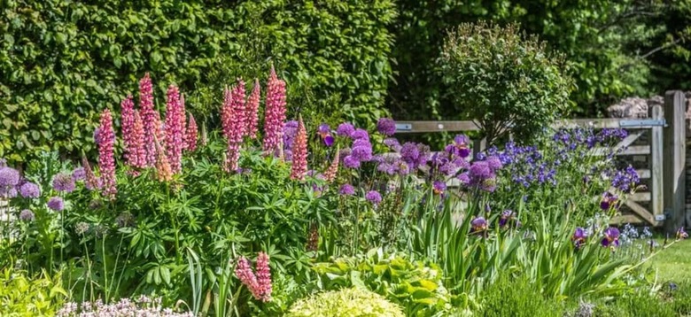 Bed & Breakfast Aylworth Manor
