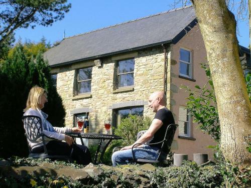 Ffynnon Fendigaid Bed And Breakfast