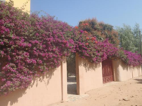 Sanchaba Yellow Apartments