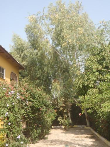 Sanchaba Yellow Apartments