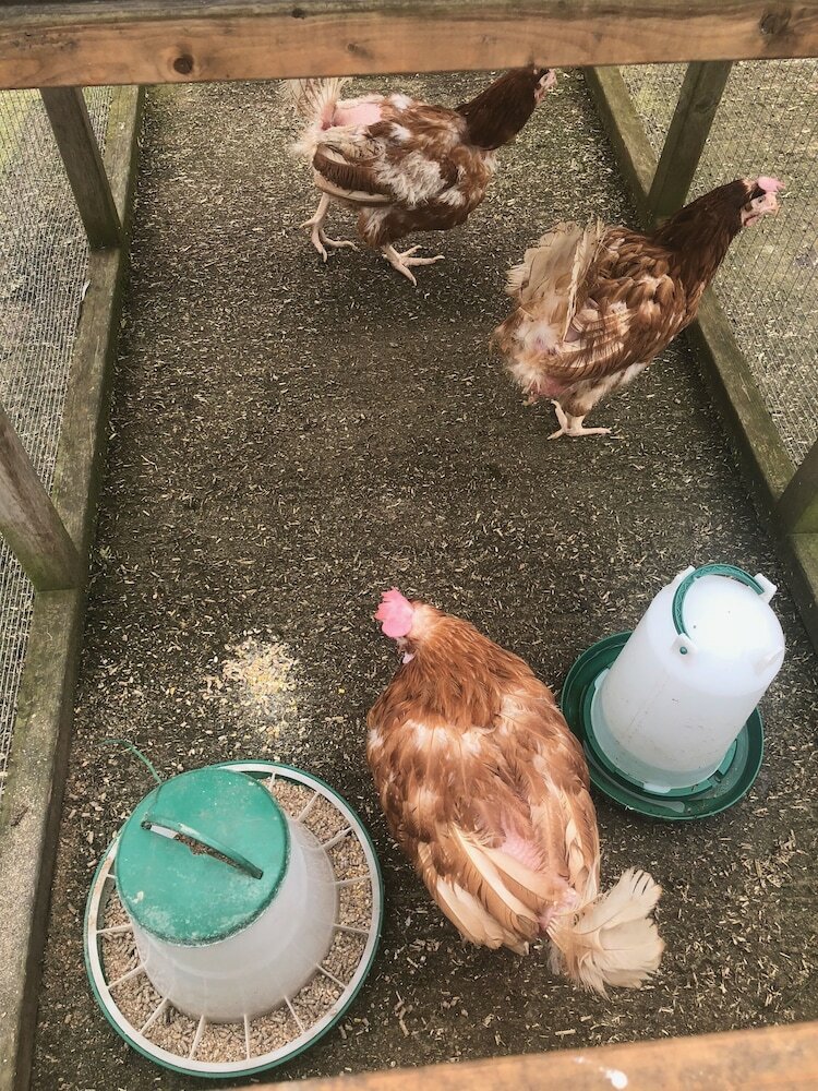 Bed & Breakfast Home Farm