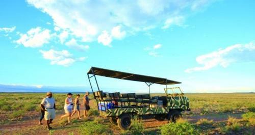 Africa Safari Lodge