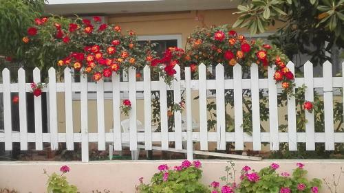 Faros Apartments
