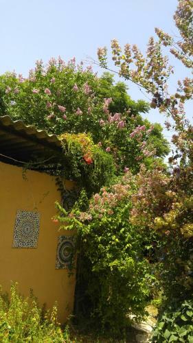 Villa Haigol Hapnimi