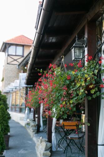 Hotel Transilvania