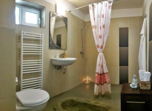 Hostal Pensiunea Sighisoara