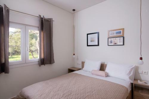 Hostal Votsalo Studios