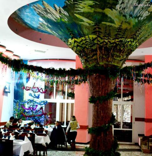 Hotel Bradul