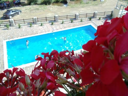 Hostal Pension Curmatura Stezii