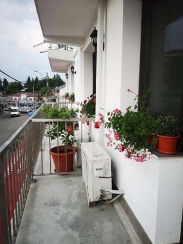 Hostal Pensiunea Mikelis International
