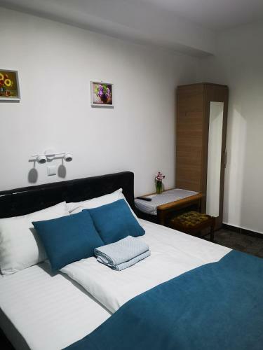 Hostal Pensiunea Mikelis International
