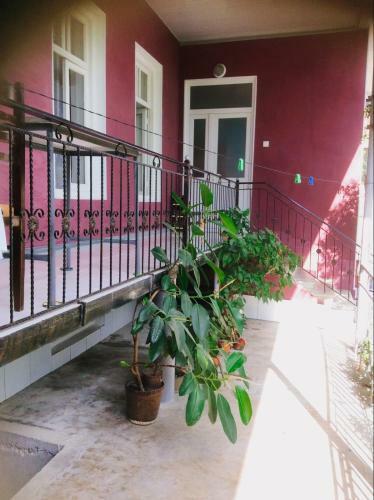 Hostal Classic Hospitality House