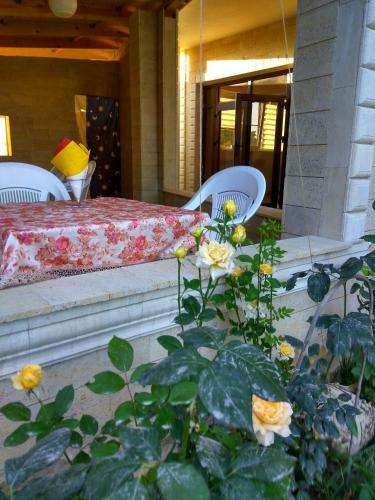 Hostal Arkadia Guest House