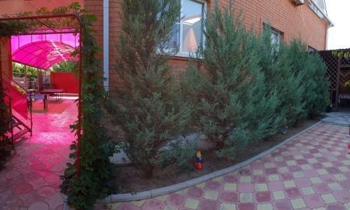 Posada Zolotye Peski Mini-hotel