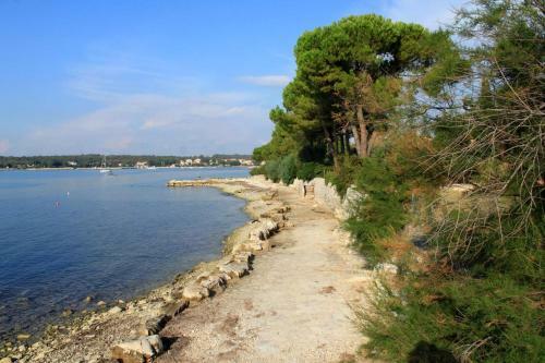 Apartments By The Sea Dajla, Novigrad - 3376
