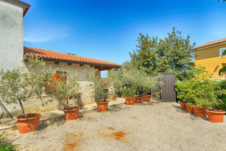 Hostal Apartments Valter 881