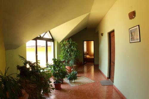 Hostal Pensiunea Blanca