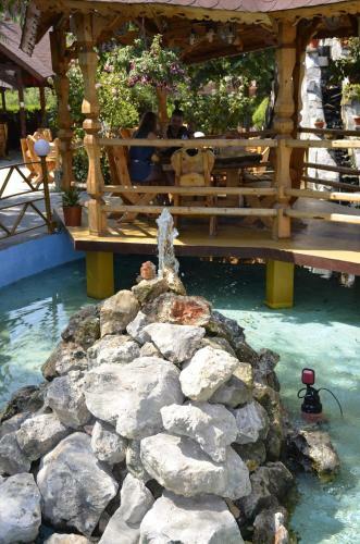 Hotel Poienita