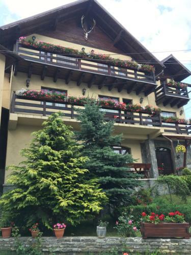 Hostal Pension Casa Ali & Andu